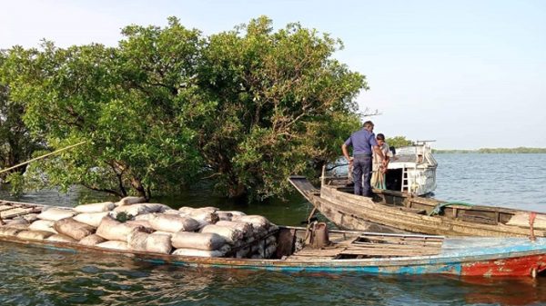তাহিরপুরে চোরাই কয়লাসহ ২টি নৌকা জব্দ - Natun Sylhet