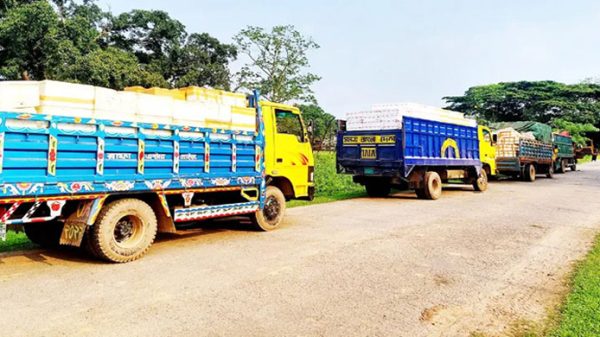 চাতলাপুর দিয়ে ভারতে গেল ১১ হাজার ৭২৫ কেজি ইলিশ - Natun Sylhet
