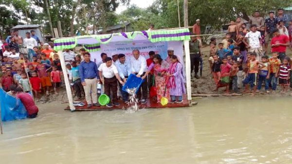 বিশ্বনাথে বিভিন্ন জাতের মাছের পোনা অবমুক্ত - Natun Sylhet