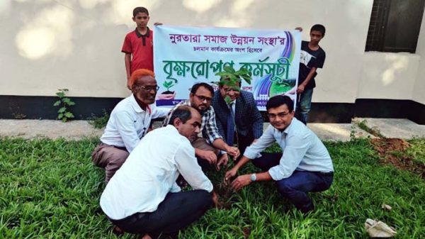 নুরতারা সমাজ কল্যাণ সংস্থার বৃক্ষরোপন কর্মসূচীর উদ্বোধন - Natun Sylhet