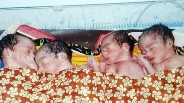 মৌলভীবাজারে প্রবাসীর স্ত্রীর একসঙ্গে চার সন্তানের জন্ম - Natun Sylhet