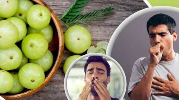 শীতে রোগ প্রতিরোধ ক্ষমতা বাড়াতে রোজ খান এই ফল - Natun Sylhet