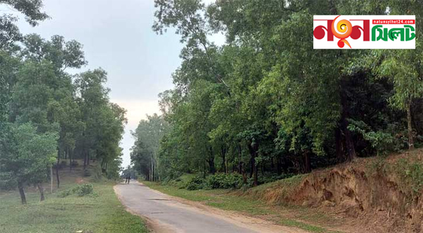 ১২ কি.মি সড়কের কাজ শুরু হতেই ১২ বছর! - Natun Sylhet