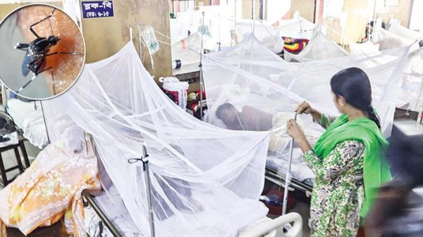 ডেঙ্গুতে আরও ৪ জনের মৃত্যু, হাসপাতালে ভর্তি ৬৪৬ - Natun Sylhet