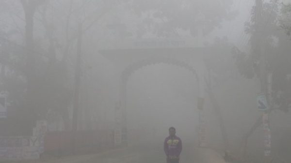 দক্ষিণ সুরমায় ঘন কুয়াশায় আইল্যান্ডে উঠে গেল ট্রাক - Natun Sylhet