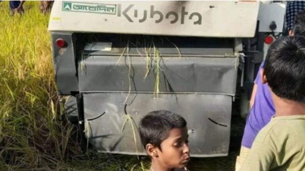 হবিগঞ্জে ধান কাটার যন্ত্রের নিচে চাপা পড়ে শিশুর মৃত্যু - Natun Sylhet