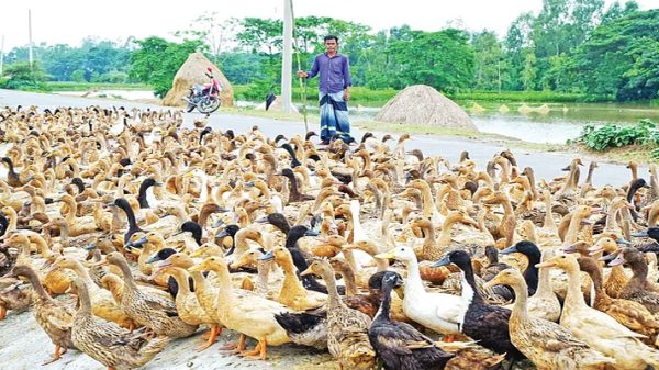হবিগঞ্জে দুটি সড়কে গতি পেল ভাটির অর্থনীতির চাকা - Natun Sylhet