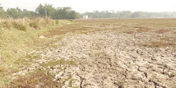 সেচ সংকটে মৌলভীবাজারের বোরোচাষিরা - Natun Sylhet