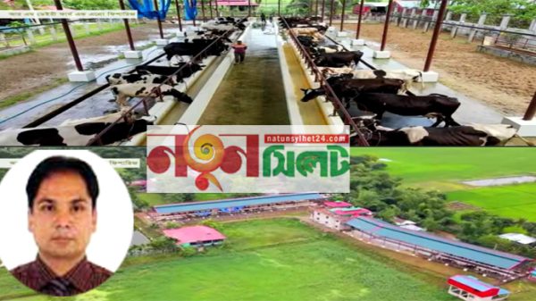 সেলসম্যান থেকে কোটিপতি সিসিকের হানিফ! - Natun Sylhet
